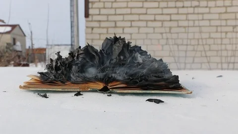 Burning book in the snow. Video stock 119003096