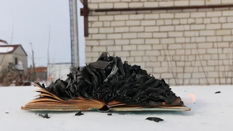 Burning book in the snow. Video stock 119003105