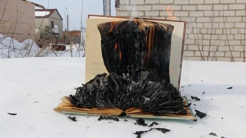 Burning book in the snow. Video stock 119003112