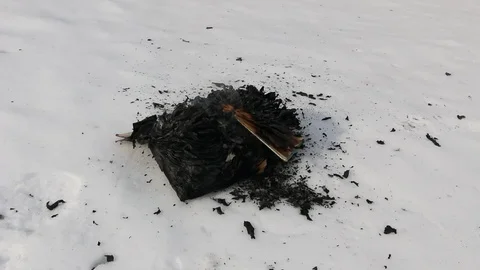 Burning book in the snow. Video stock 119003114