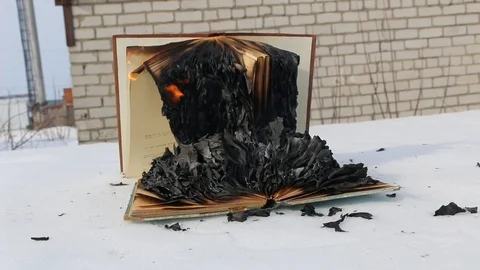 Burning book in the snow. Video stock 119003116