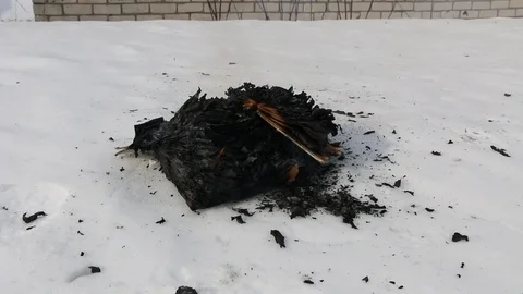 Burning book in the snow. Video stock 119003125