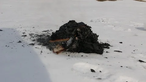 Burning book in the snow. Video stock 119003127