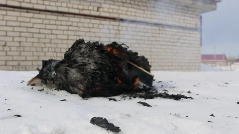Burning book in the snow. Video stock 119003132