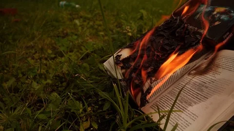 Burning books in a bonfire Stock Footage 79998493