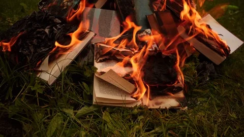 Burning books in a bonfire Stock Footage 79998576