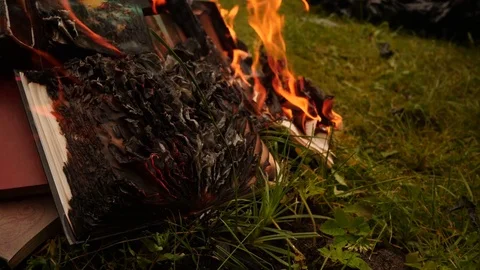 Burning books in a bonfire Stock Footage 79998696