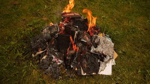 Burning books in a bonfire Stock Footage 79999679