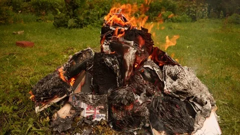 Burning books in a bonfire Stock Footage 79999925
