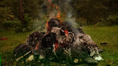 Burning books in a bonfire Stock Footage 80001137