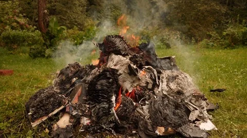 Burning books in a bonfire Stock Footage 80001205