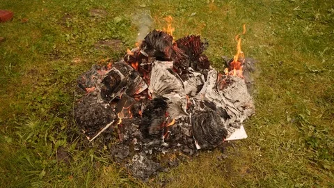 Burning books in a bonfire Stock Footage 80001251