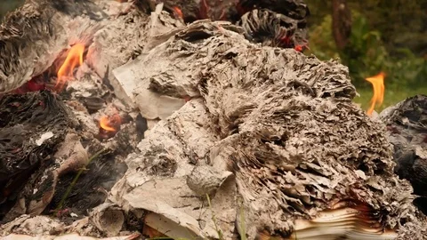 Burning books in a bonfire Stock Footage 80001276