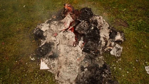 Burning books in a bonfire Stock Footage 80001454