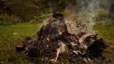 Burning books in a bonfire Stock Footage 80001484