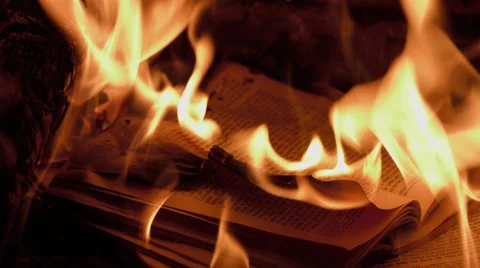 Burning books in a fireplace (French language) Stock Footage