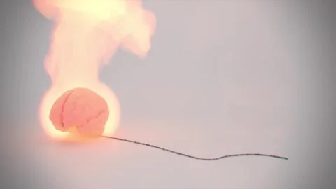 Burning brain with fire in minimal concept scene Vidéo 316828674