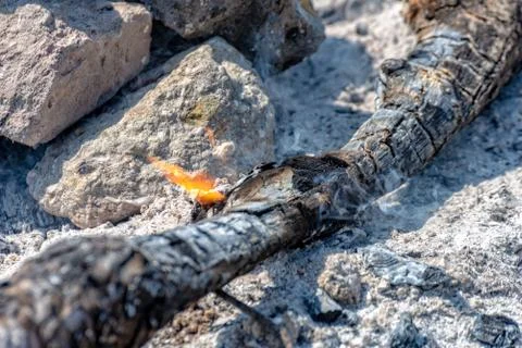 Burning branch in a campfire Stock Photos