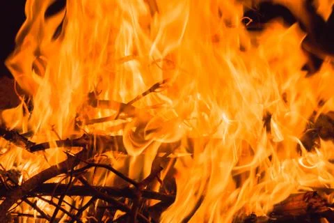 Burning Branches in Bonfire Stock Photos