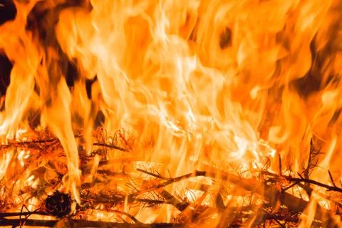 Burning Branches in Bonfire Stock Photos
