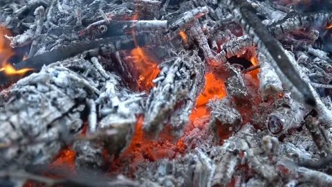 Burning branches, coal branches Stock Footage 79577805