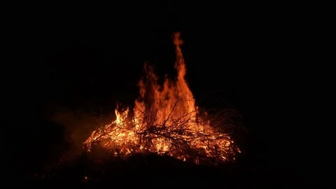 Burning branches in the dark. Big flame, fire in the woods. Stock Footage 196084027