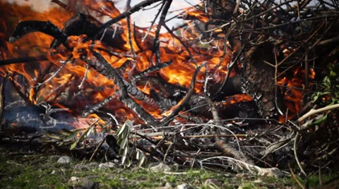 Burning branches in the field Stock Footage 35187451