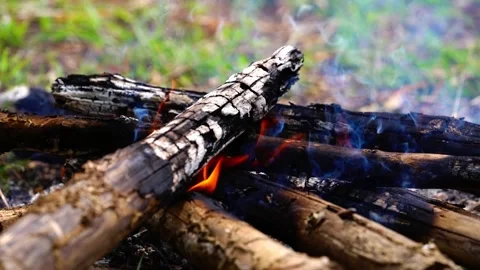 Burning branches in the fire, Bright flame of the burning bonfire 스톡 동영상 165793450