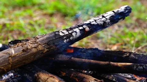Burning branches in the fire, Bright flame of the burning bonfire Video stock 165794758