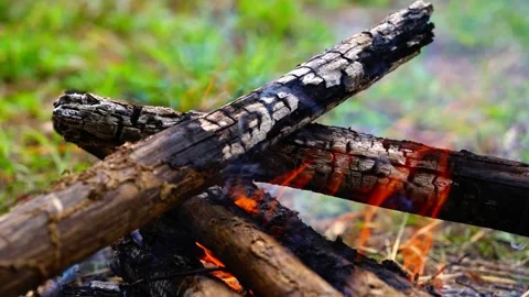 Burning branches in the fire, Bright flame of the burning bonfire Video stock 165795120