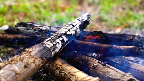 Burning branches in the fire, Bright flame of the burning bonfire Video stock 165795882