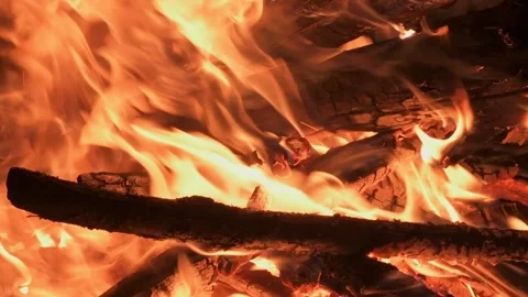 Burning branches in the fire. Close up of flames in slow motion. Stock Footage 230649281