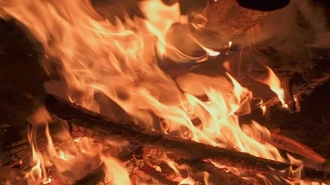 Burning branches in the fire. Close up of flames in slow motion. Stock Footage 230649291