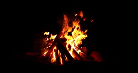 Burning branches in the fire Stock Footage 159003266