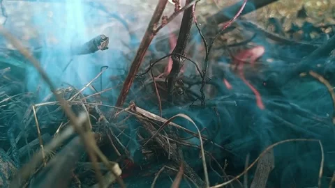 Burning branches with flashing fire and windy smoke. Stock Footage 259976015