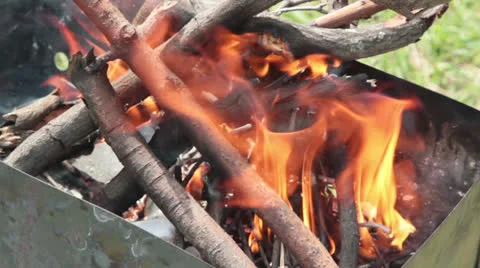 Burning branches Stock Footage 23298571