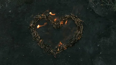 Burning branches laid out in the shape of a heart Stock Footage 165340434