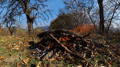 Burning branches on open air space. nature. Super slow motion. Video stock 122809890