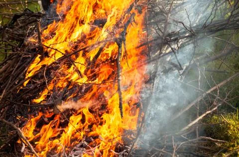 Burning branches Stock Photos