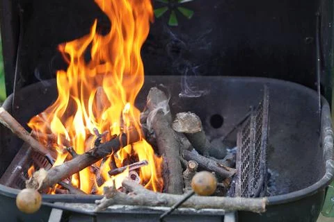 Burning branches Stock Photos