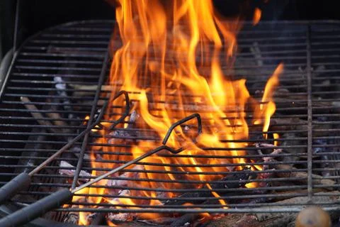 Burning branches 写真素材