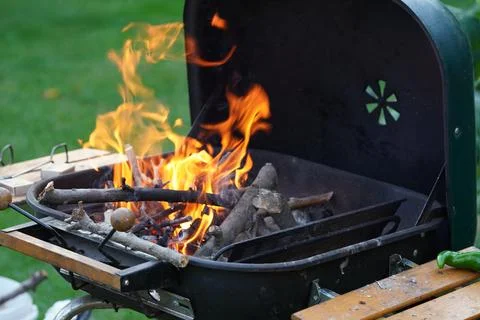 Burning branches Stock Photos