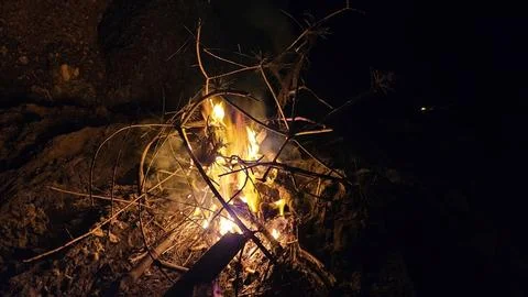 Burning branches Stock Photos