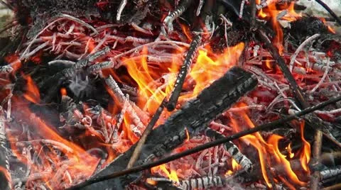 Burning branches on a pyre Stock Footage