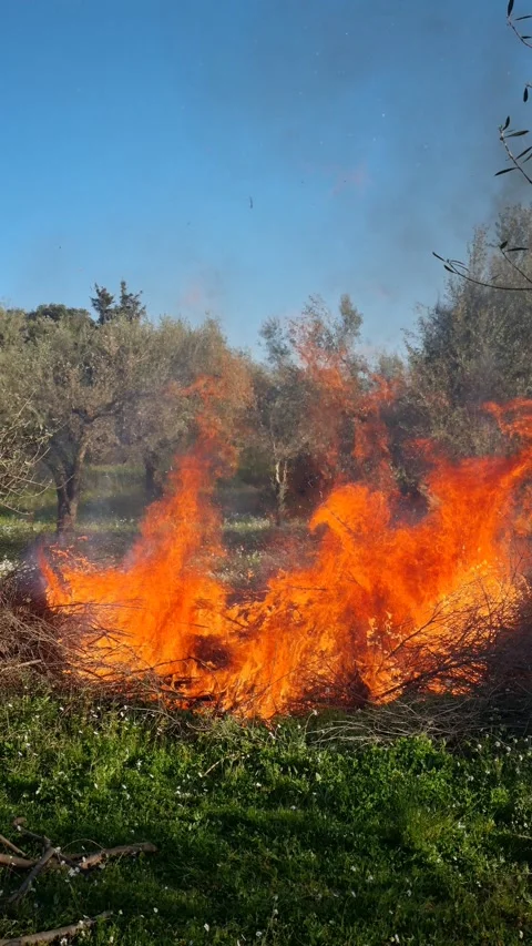 Burning branches in rural field with flames and smoke Stock Footage 331979062