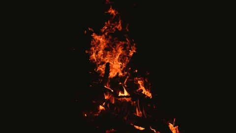 Burning branches of trees in the fire at night 스톡 동영상 104554583