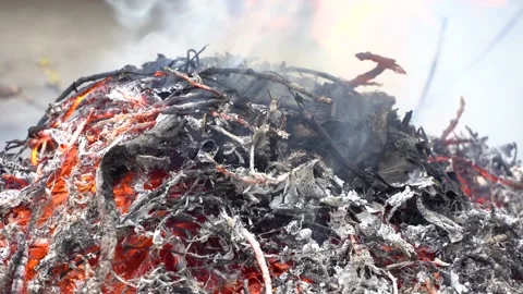Burning branches,forest,grass.Slow motion video of fire and flames Stock Footage 196108257