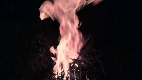 Burning bright flame at a picnic. Stock Footage 253753908