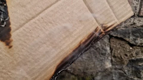 Burning Brown Paper Texture with Fire Charred Edges Video stock 333578814