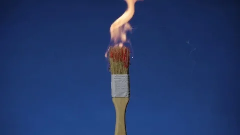 Burning Brush on A Blue Background Stock Footage 74249578